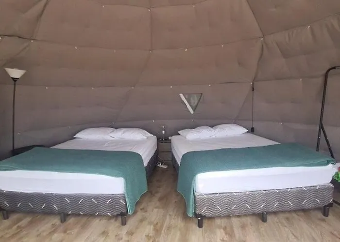 Glamp *